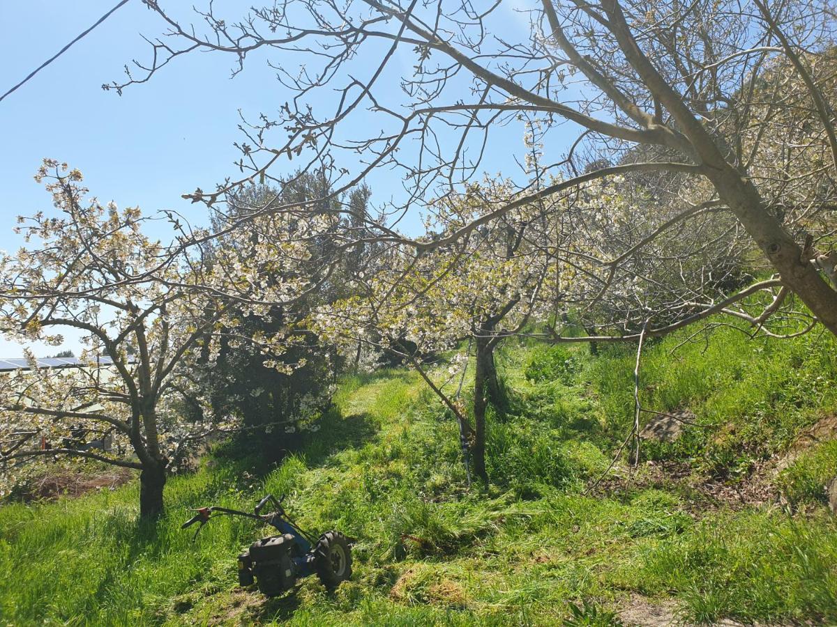 Oasi Del Benessere Ilbono Zewnętrze zdjęcie